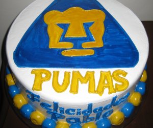 22 i Pumas